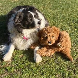 Meet your Posher, Alana